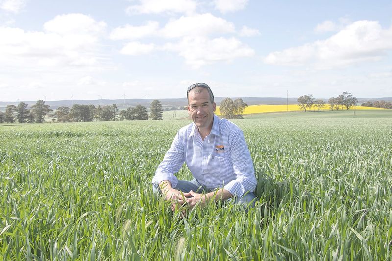 Pushing Back on Herbicide Resistance post image