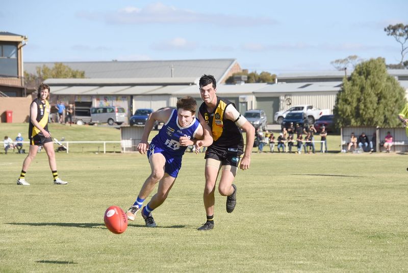 Tigers’ Reserves Hold Donald Out post image