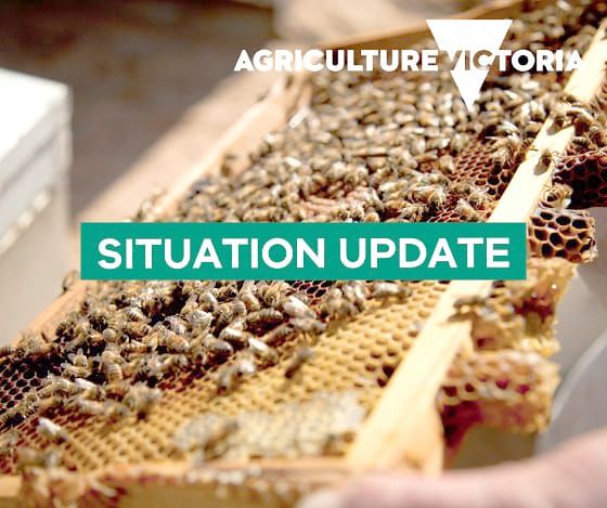 Transition to Management Planned for Varroa post image