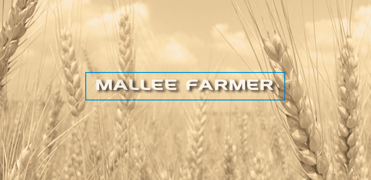 Supplement available monthly in "The Buloke Times" post image