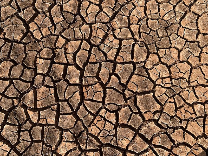 El Nino is Here: So is Rural Aid post image