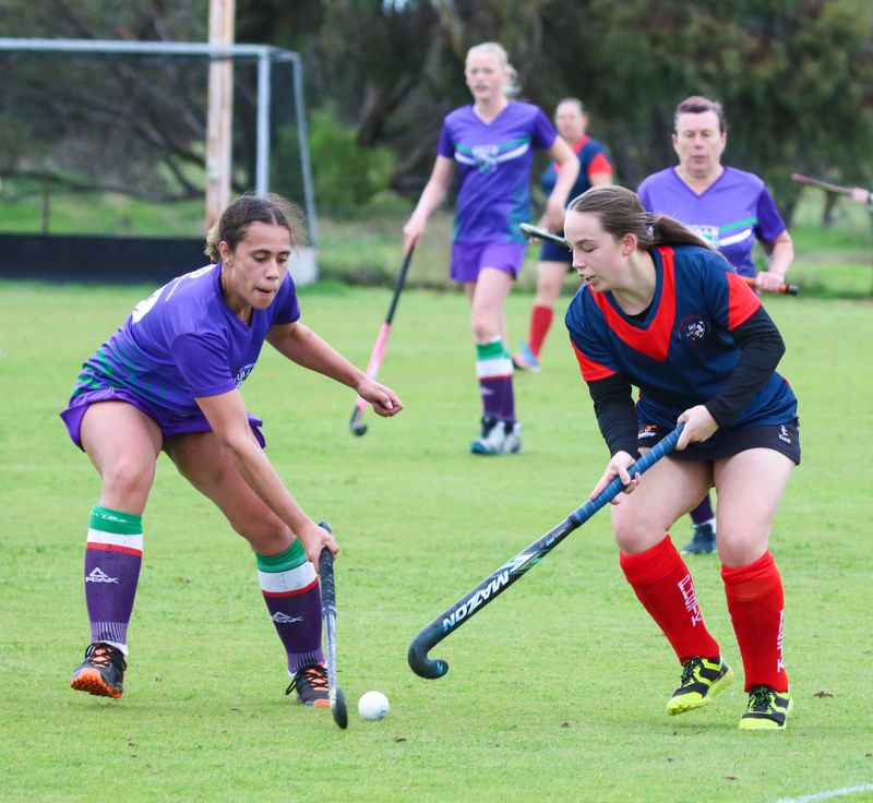 Bulls Hockey at Home to Demons post image