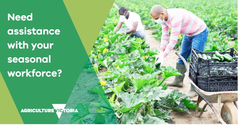 Do You Need Seasonal Workforce Assistance? post image