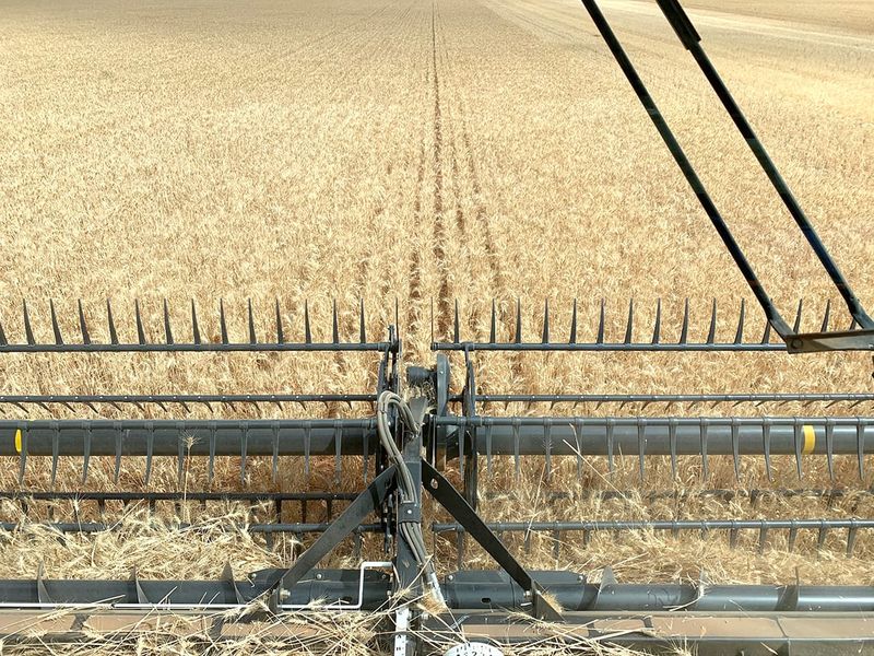 We Can’t Afford to Lose Older Herbicides post image