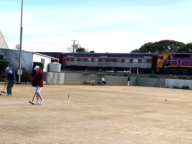 Players from Near and Far: Charlton’s High Quality Croquet Tournament post image