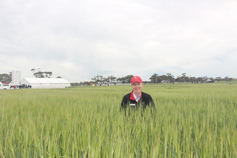 Book September 13 for BCG’s Main Field Day post image