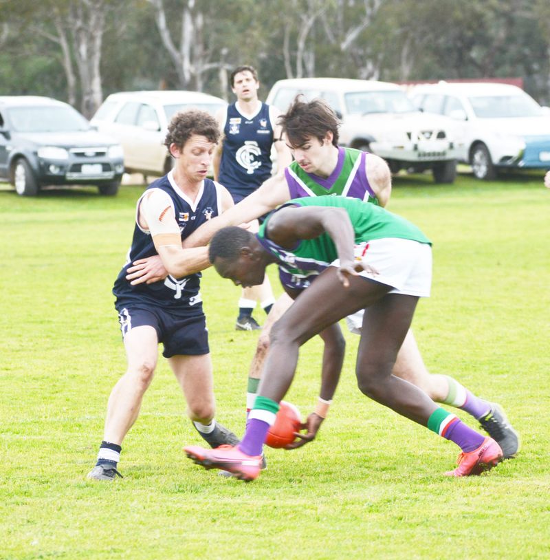 Bulls Sink Plucky Navies post image