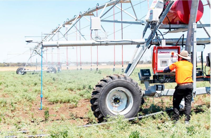 New Irrigator Improves Chickpea Disease Resistance post image