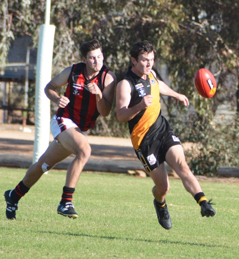 Tigers Rule the Roost post image