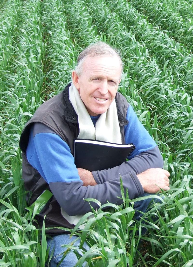 The Effect of Farming Without Glyphosate post image