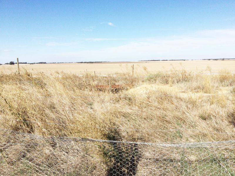 Avon Plains Gold Mining Company Rediscovered post image
