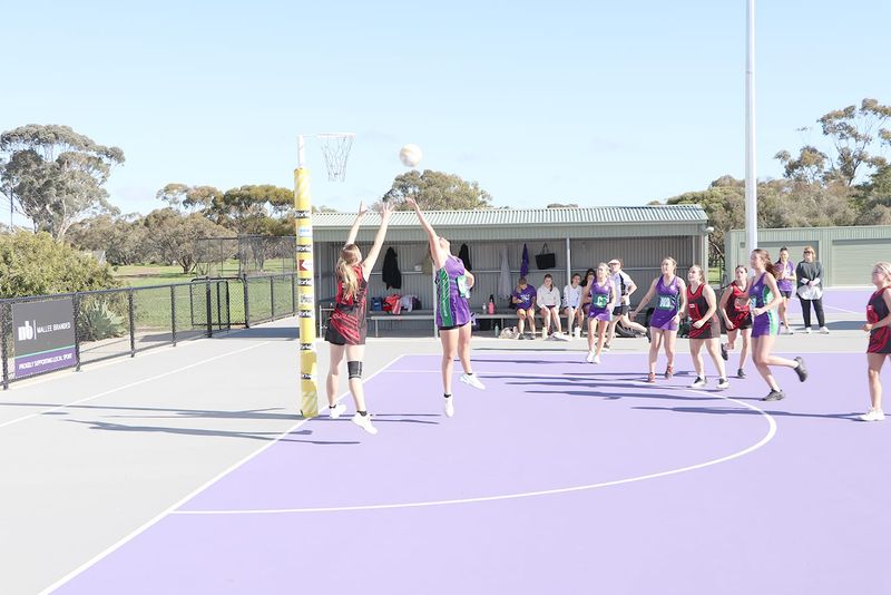 Bulls Sweep the ’Burners post image
