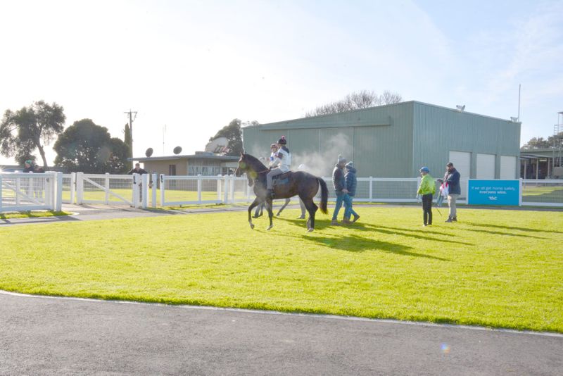 Jump Outs at Donald post image