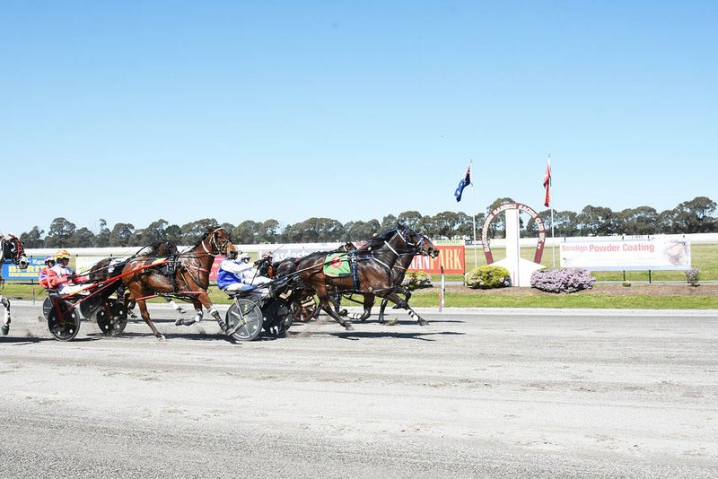 Terang Trainers’ Harness Invasion post image