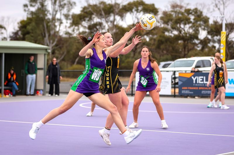 Bulls, Tigers Share the Netball Spoils post image