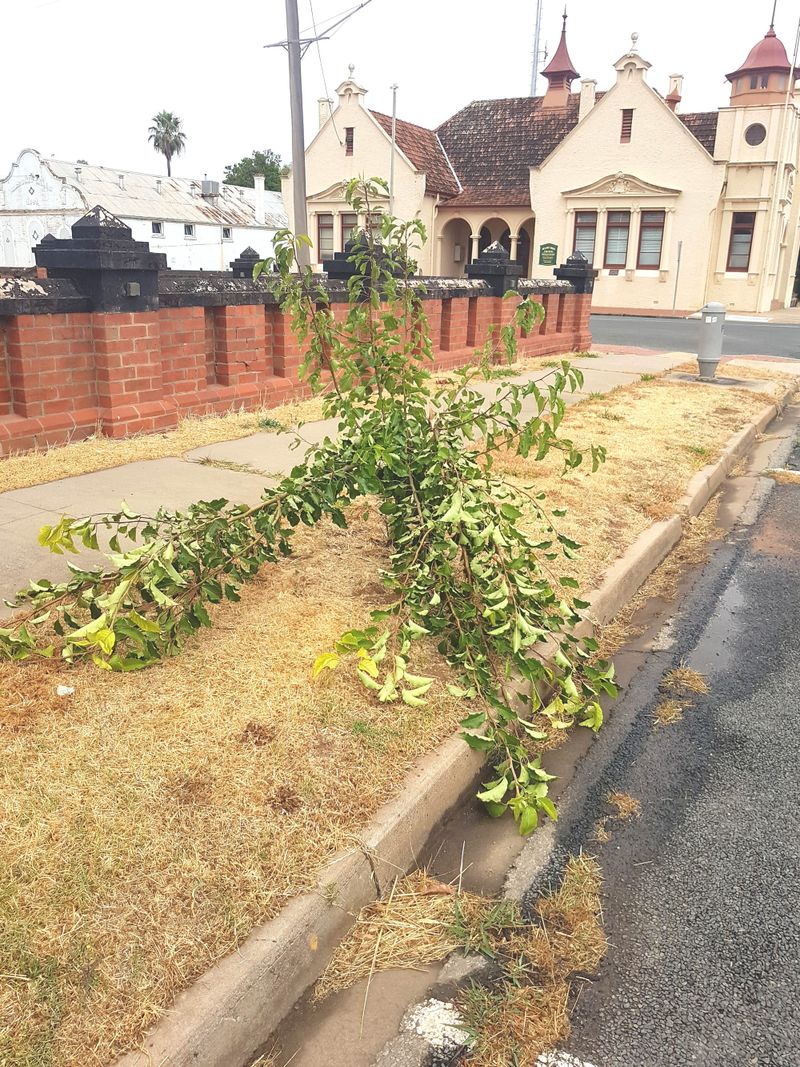 Senseless Vandalism post image