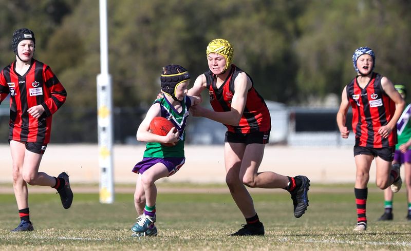 Tough Going for Bulls Juniors post image