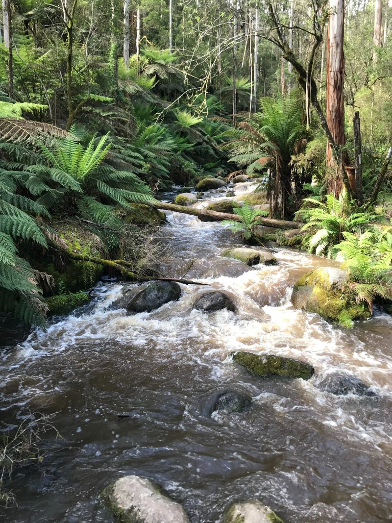 Landcare Grants Open post image