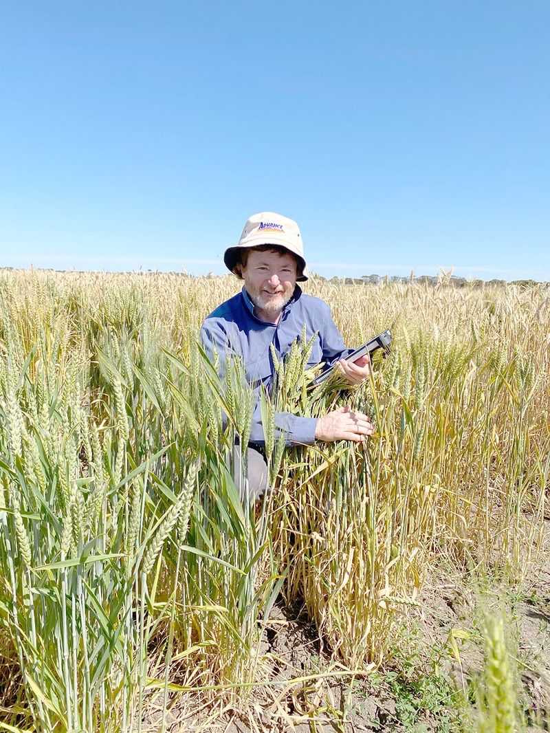 At BCG’s Main Field Day ... Weighing Up Rust Risk post image