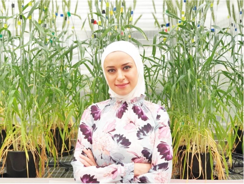 Victorian Scientist Wins International Award post image