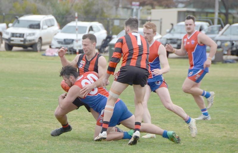 Saints Feel the Redbacks Bite post image