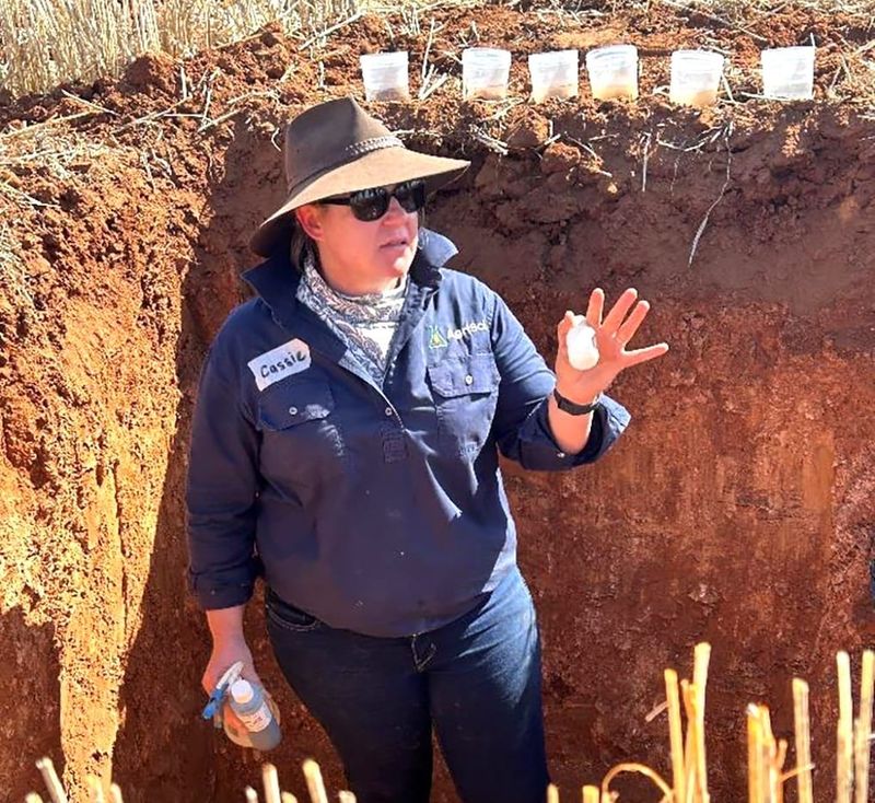 Soil Productivity in Focus post image