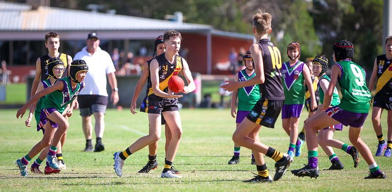 Junior Tigers Dominate Bulls post image