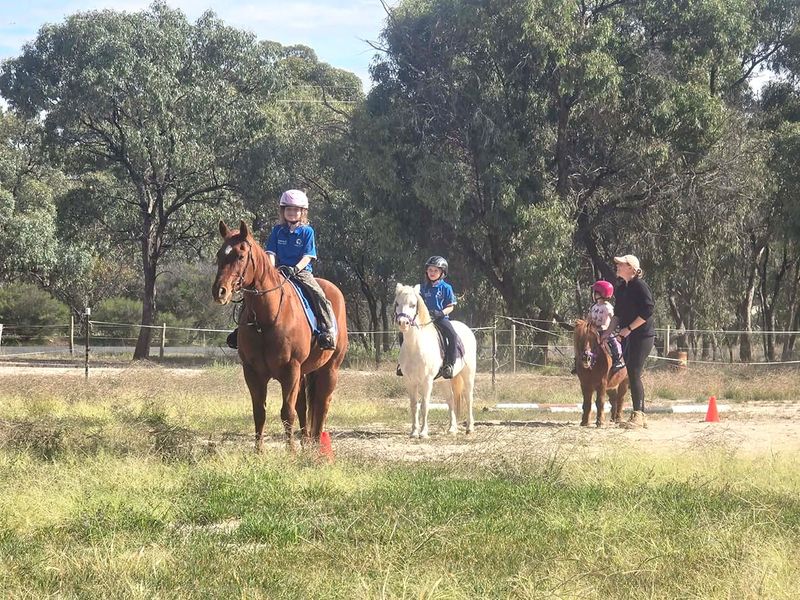 Donald Pony Club’s April Rally post image