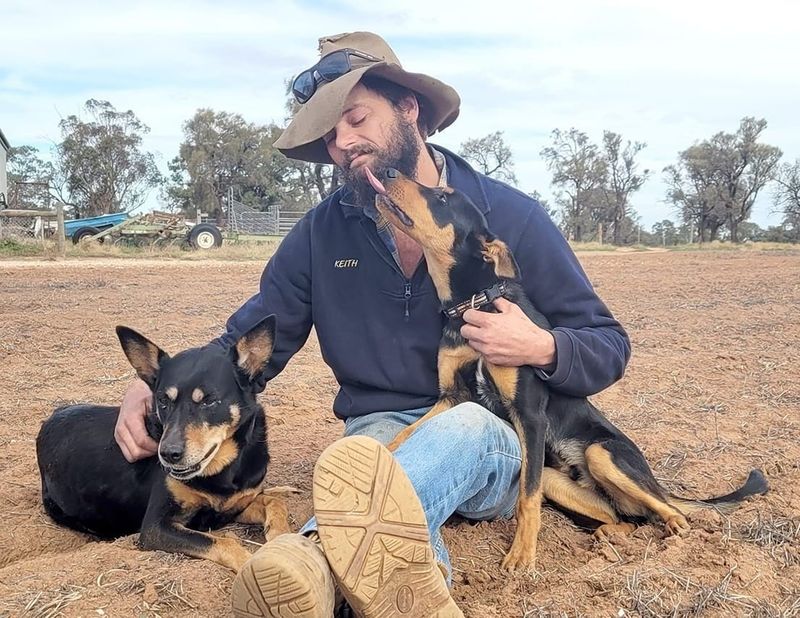 The Kelpie Conclusion post image