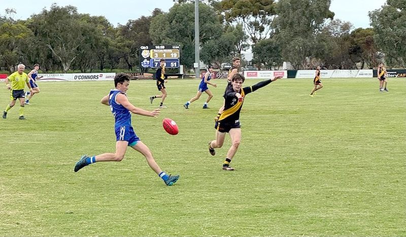 Tigers Go Down to Royal Blues post image