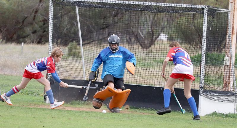 Saints Claim Hockey Honours post image