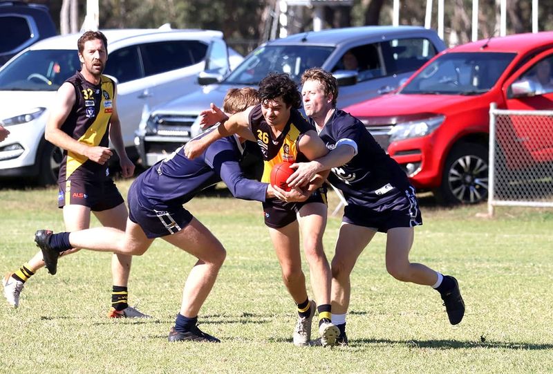 Tigers Shred the Navy Blues post image