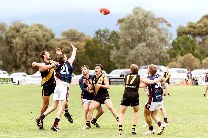 Tigers Claim Important Win Over Reigning Premiers post image