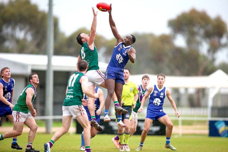 Draw Decision Denies Donald post image