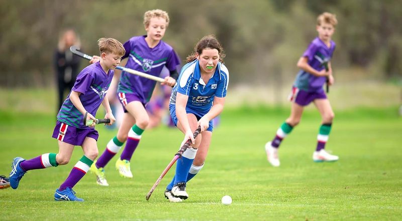 Mixed Results on the Hockey Field post image
