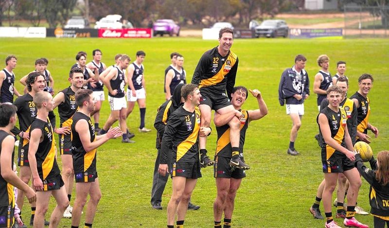 Tigers Run Riot as Elliott Celebrates 250 in Style post image