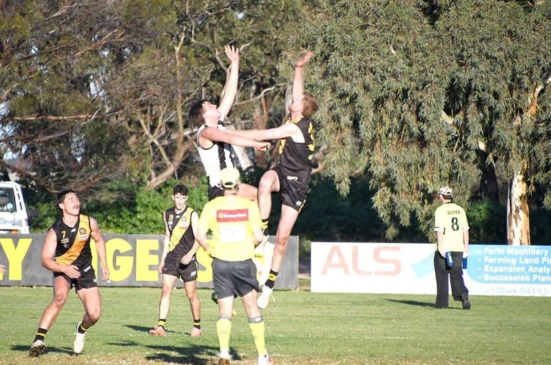 Tigers Roar Past Magpies post image
