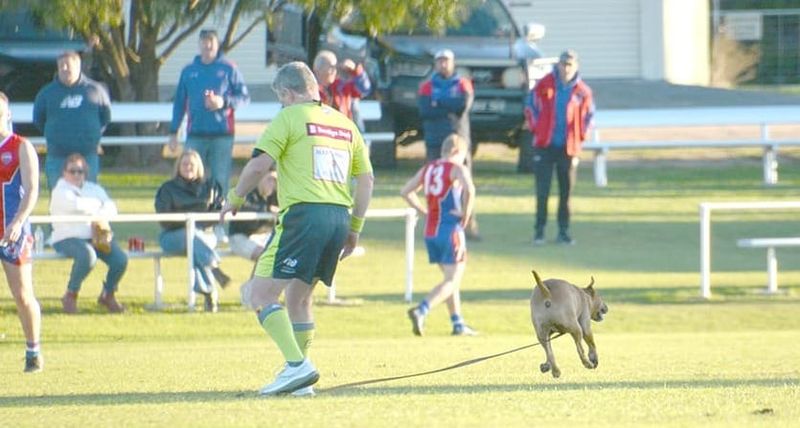 Saints Pull Away to Defeat Royal Blues post image