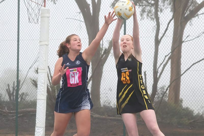 Tigers’ Clean Sweep on the Netball Courts post image