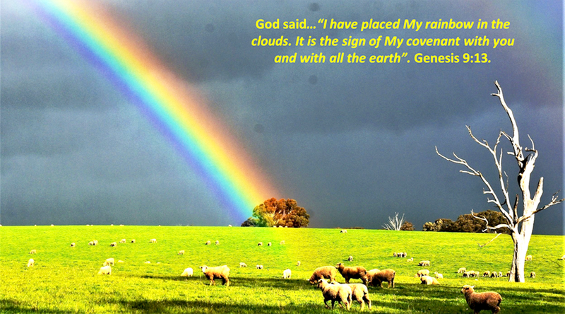 There’s a Rainbow! post image