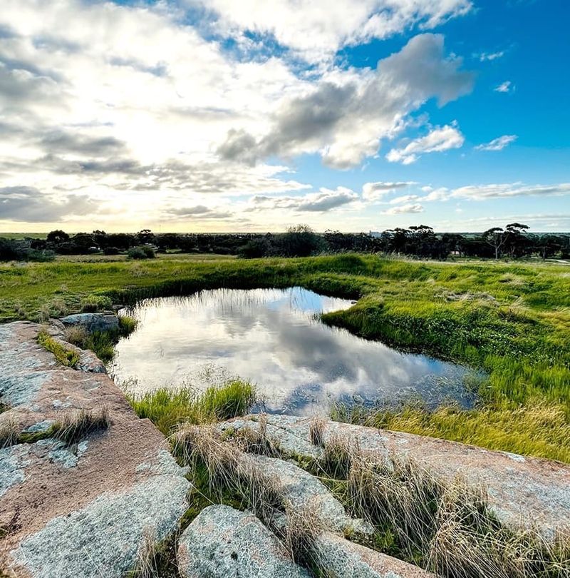 Mount Wycheproof’s Hidden Natural Beauty post image