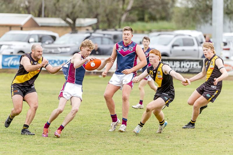 Confident Win for Determined Lions post image