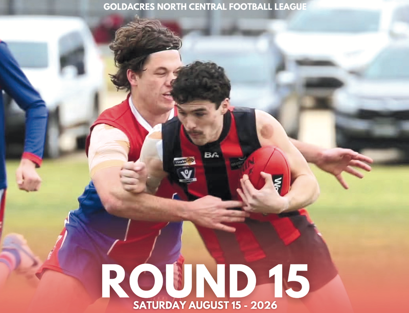 Lions Add  Spice to Finals post image