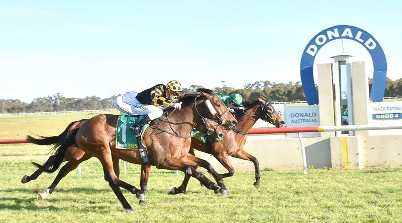 Spring Racing has Commenced post image