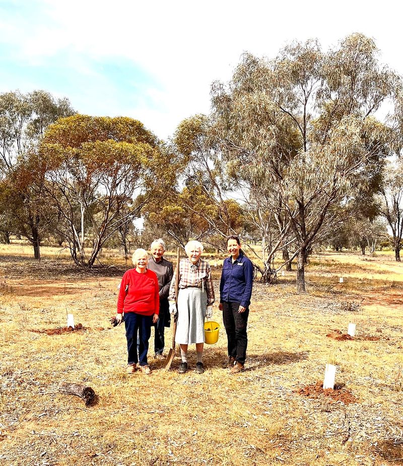 Pump Hut Reserve Blooms With New Life post image