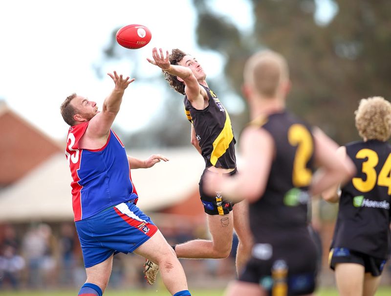 Tigers Triumph in One-Point Thriller post image