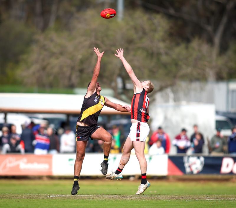 Redbacks’ Season at Risk? post image