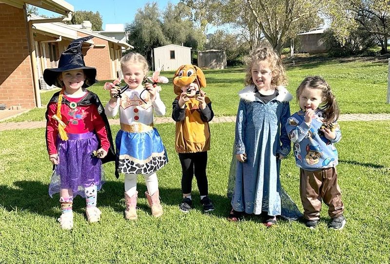 A “Symphony of Stories” Across Buloke post image