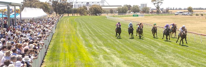 Excitement Builds for Mt. Wycheproof Cup post image