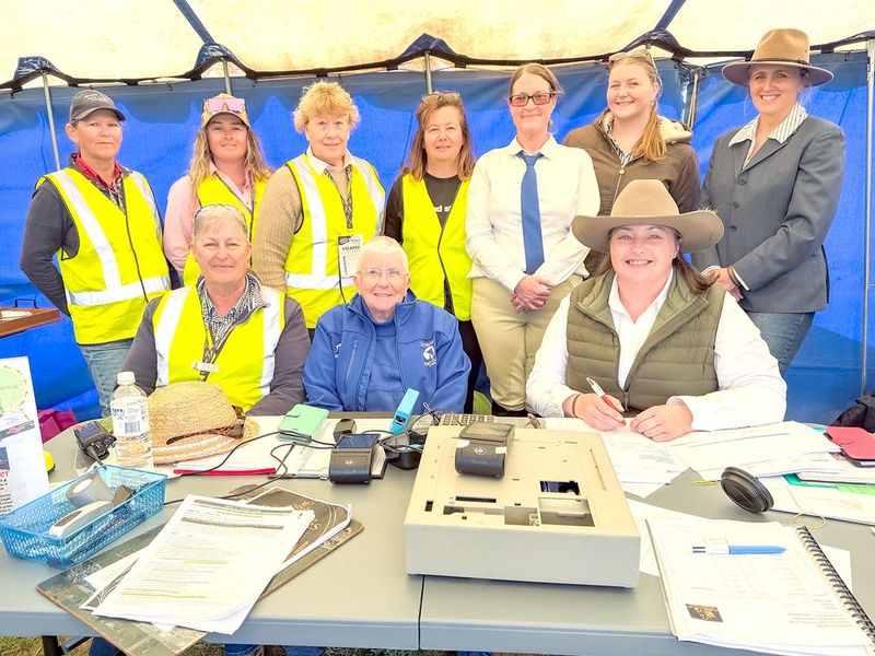 Everything Equestrian Over Two Days at Donald Show post image